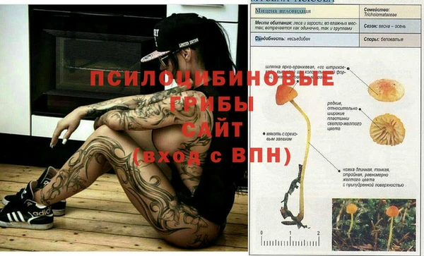 гашишное масло Армянск