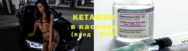 круглые Аркадак